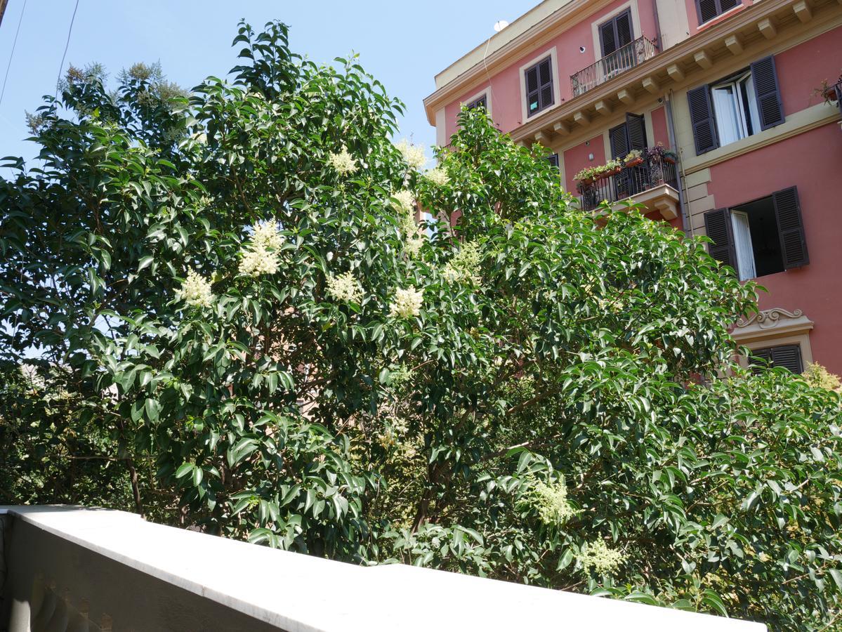Nori Guest House Rome Buitenkant foto